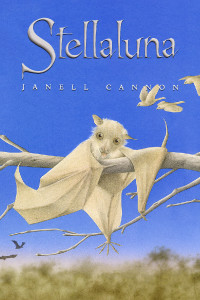 ZOOM Platform - Stellaluna